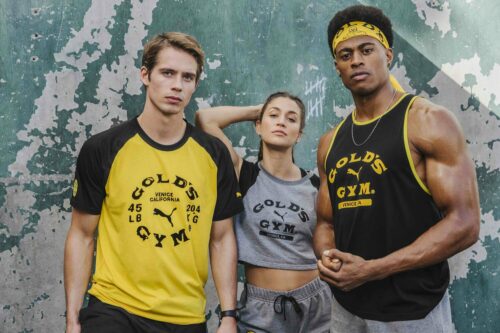 Golds Gym Collection Group