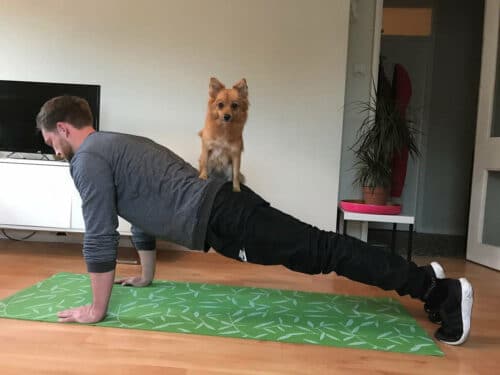 Plank and press the puppy