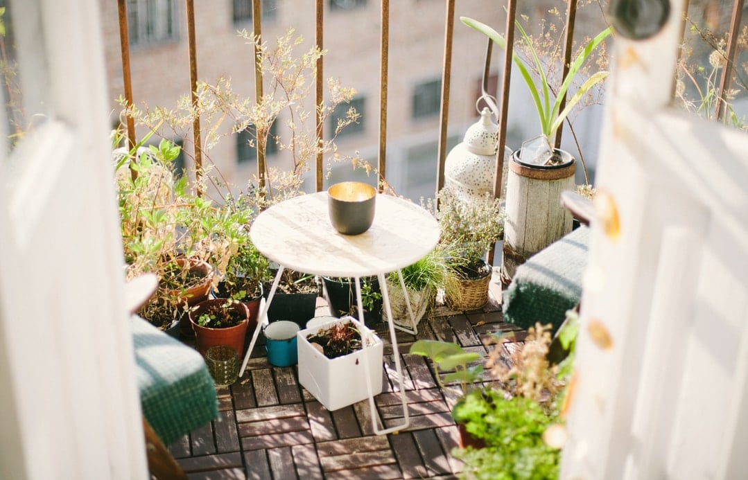 Create Your Very Own Balcony Garden