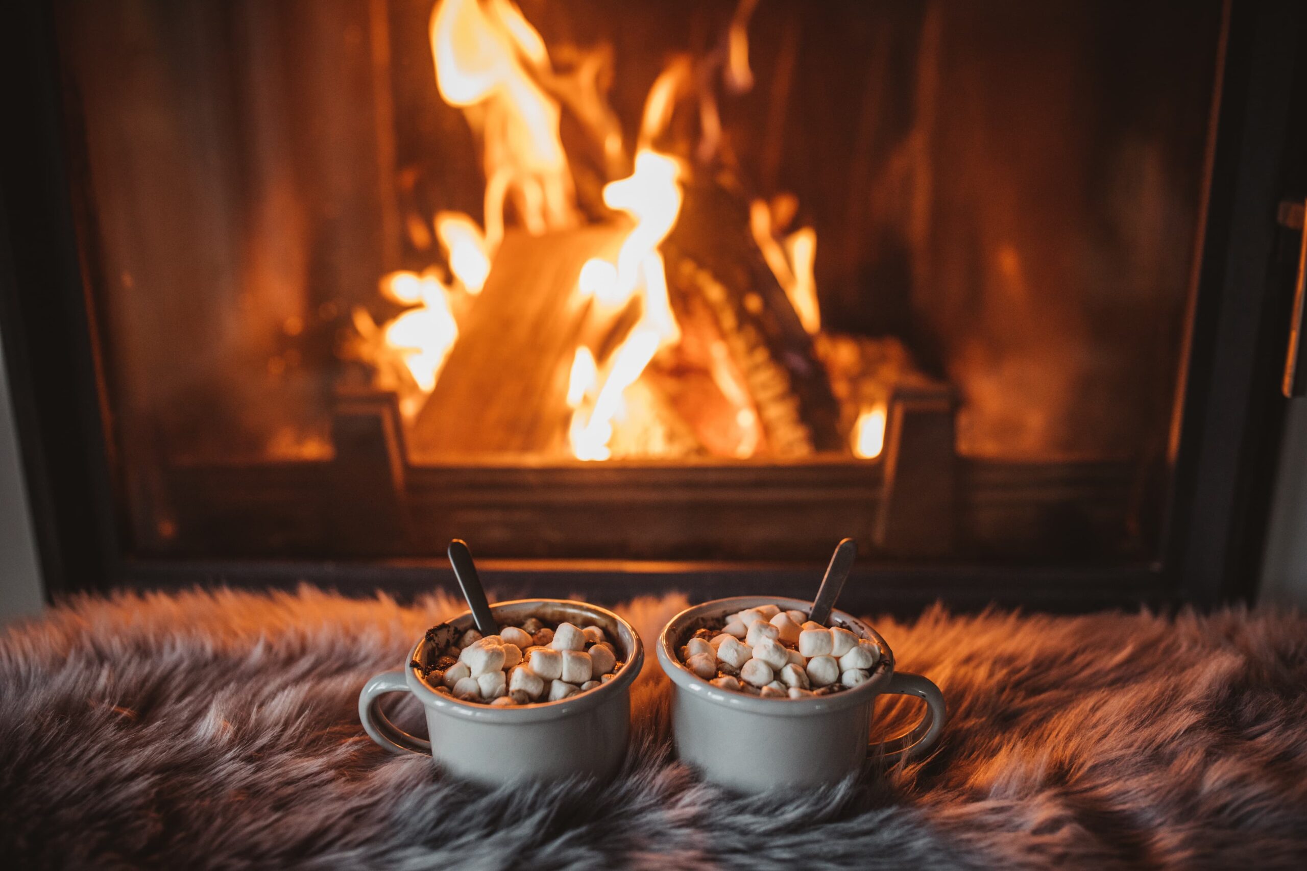 Cosy fire with marshmallows scaled