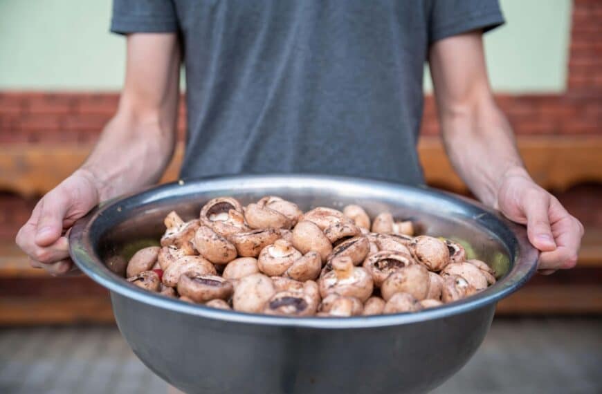 Could Mushrooms Be The Fitness-Booster You’re Missing?