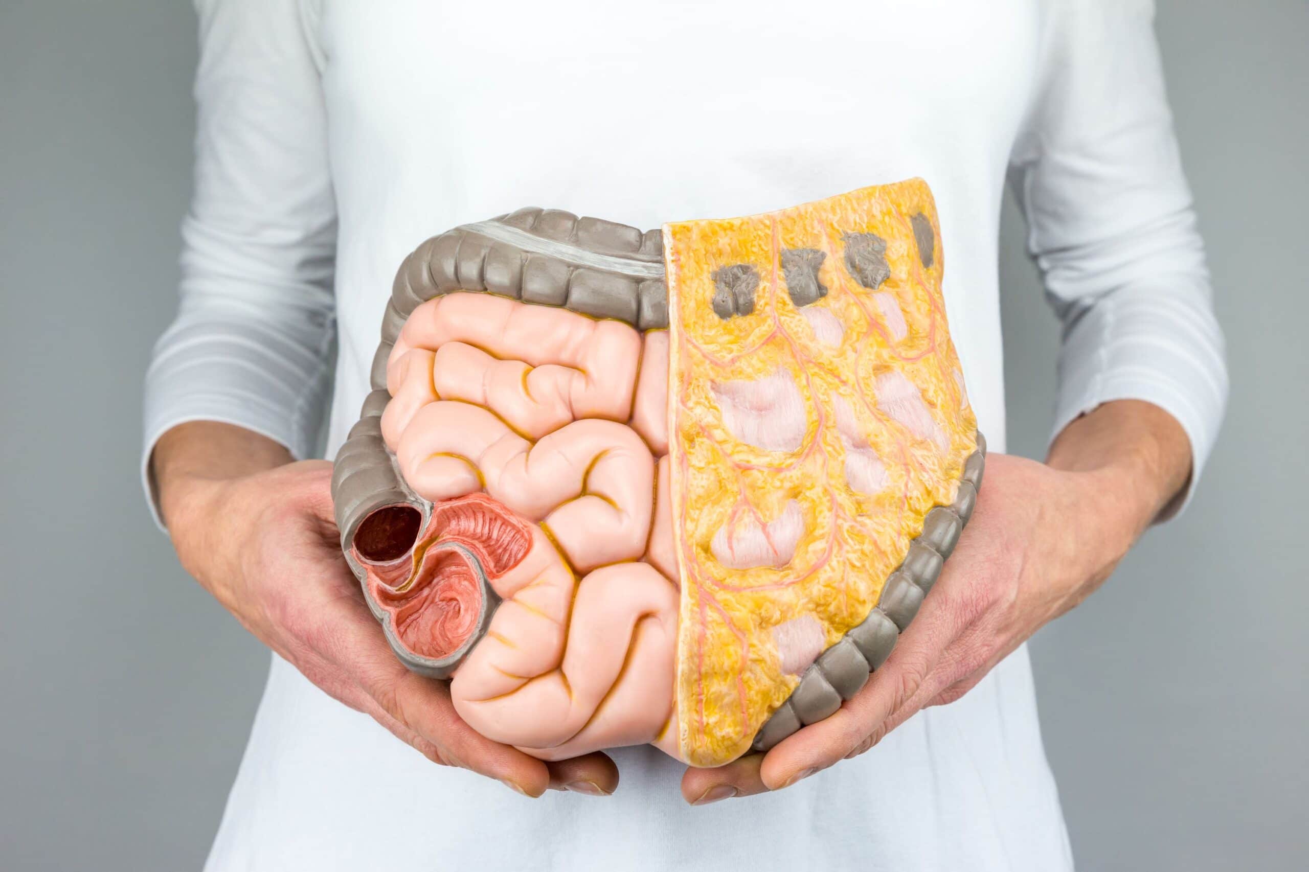 A Doctor Reveals The Link Between Your Mental Health And Gut Health
