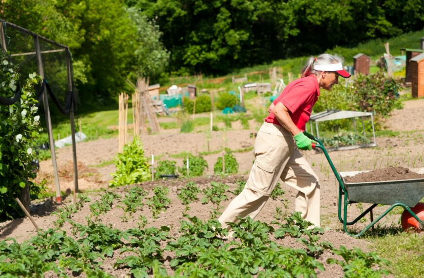 6 Ways Gardening Can Help You Live Longer, As Study Highlights Health Benefits Of Outdoor Activities