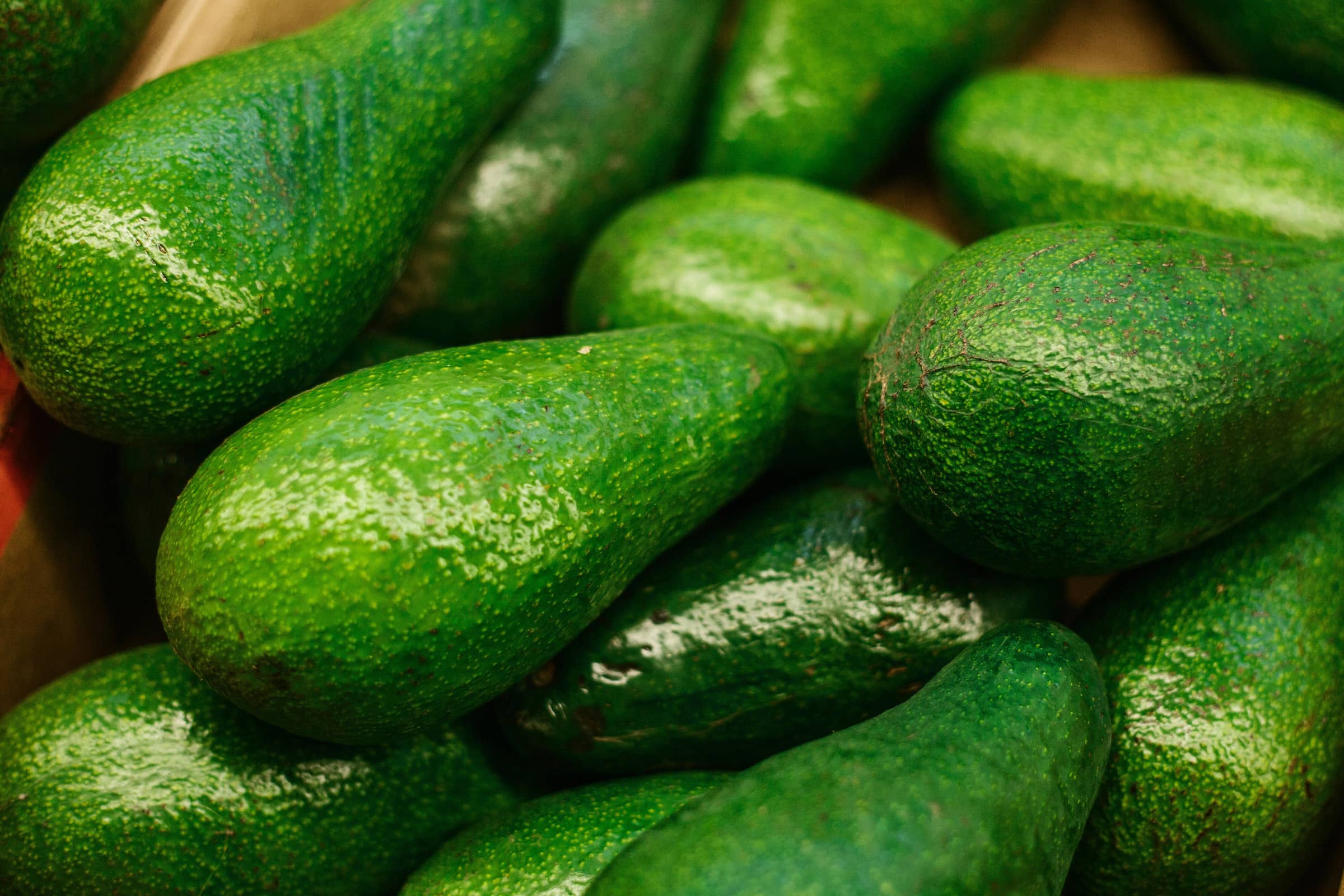 An Avocado A Week ‘Cuts Risk Of Heart Disease’