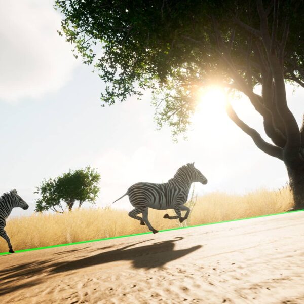 Book an indoor cycling safari with intelligent cycling’s vr-ready savanna