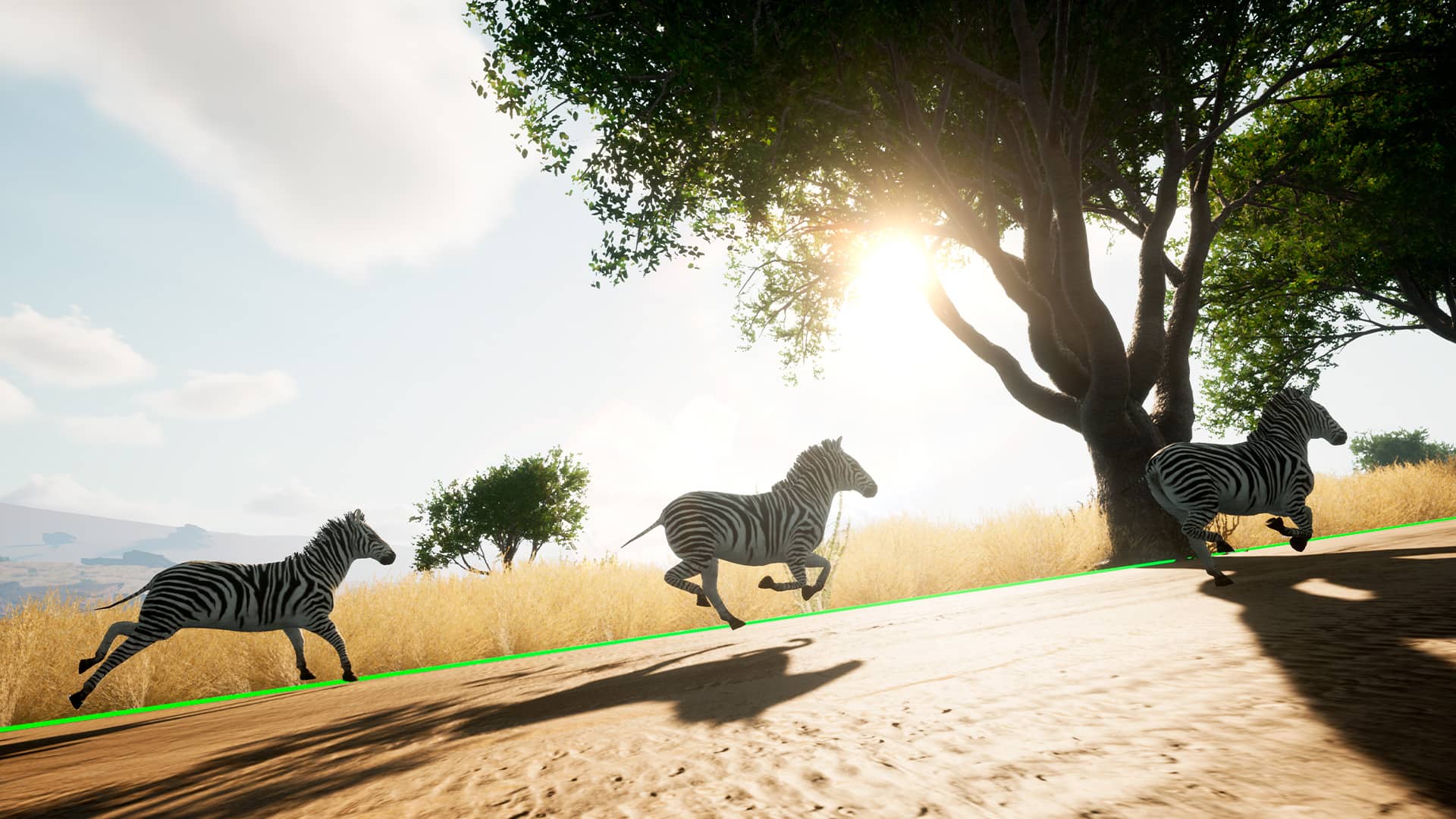 Book an indoor cycling safari with intelligent cycling’s vr-ready savanna