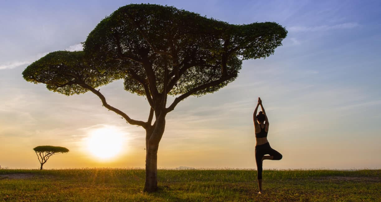 Woman yoga practice under safari tree at sunset scenery